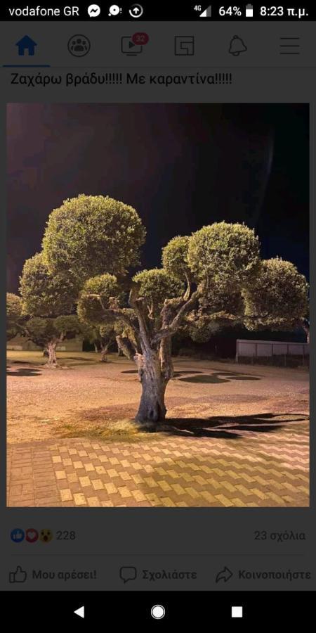Hotel Διεθνές ザハロ エクステリア 写真